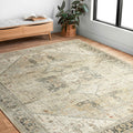 Printed Persian Distressed Vintage Area Rug 3' x 5' M301