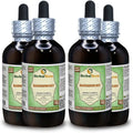 Epimedium grandiflorum Alcohol-Free Liquid Extract 4x4 fl.oz J4427