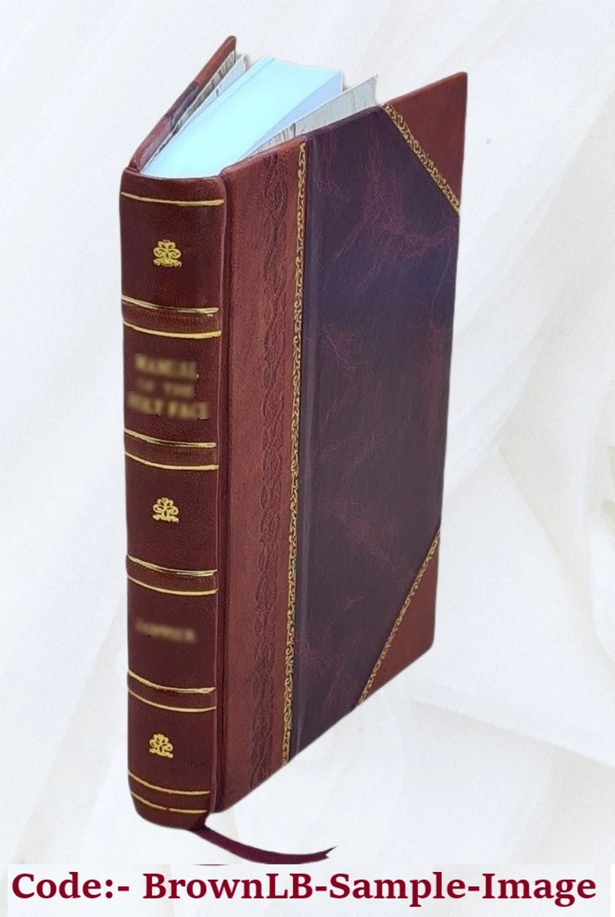 Artistic Life of John Singleton Copley K899996