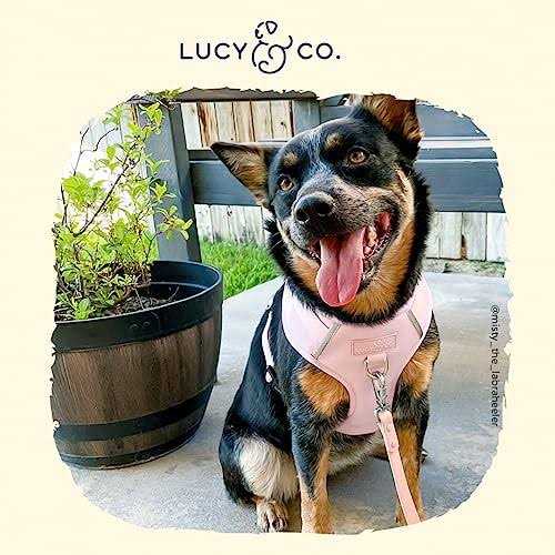 Neoprene Dog Harness S53950
