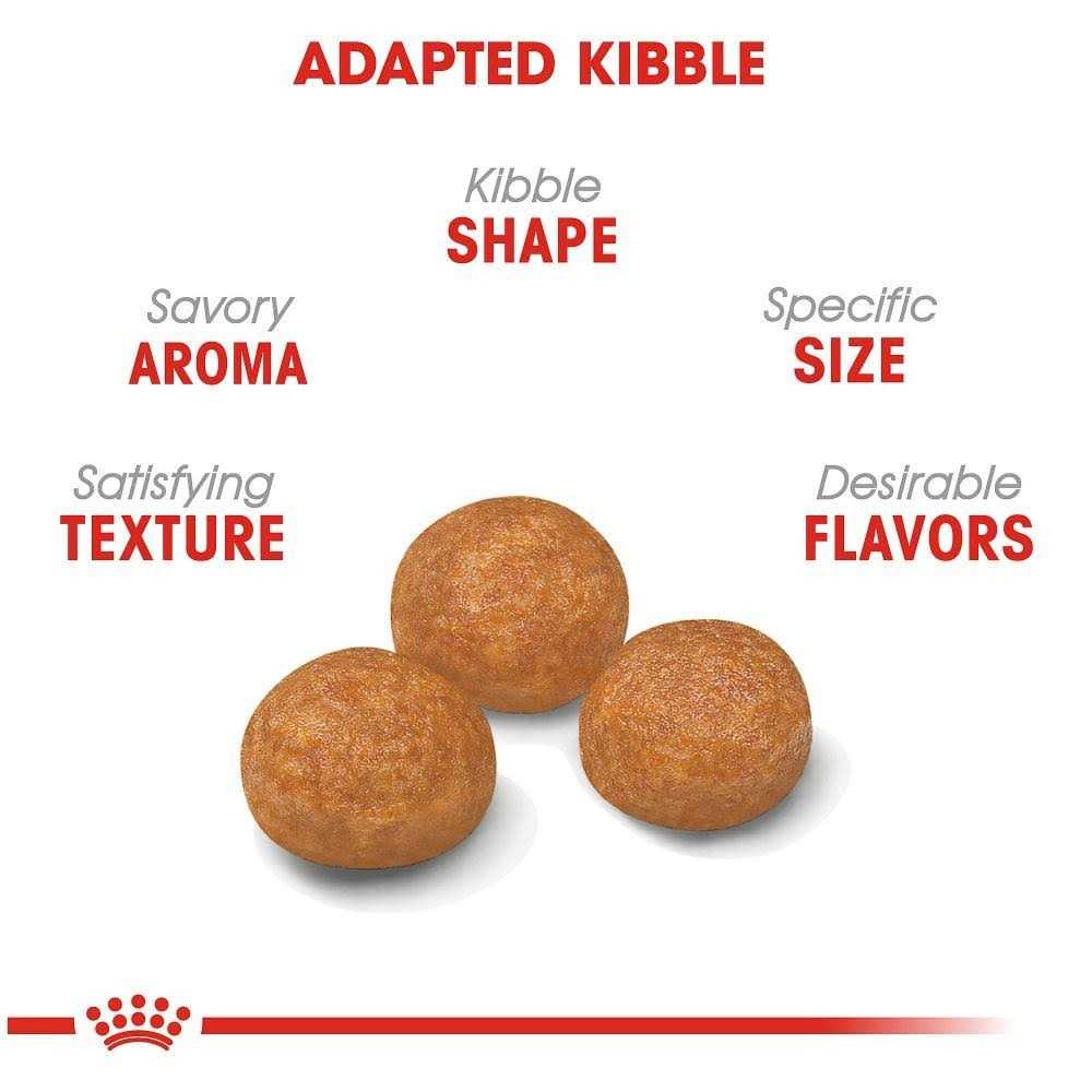 X-Small Adult Dry Dog Food R7411