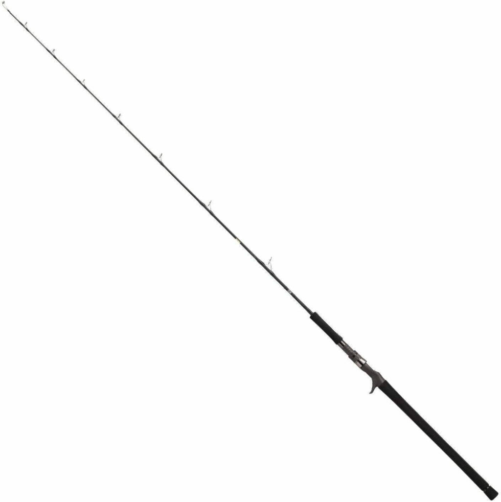 Jigging Rod W95669