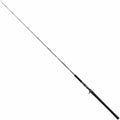 Jigging Rod W95669