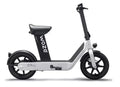 Electric Scooter P5399