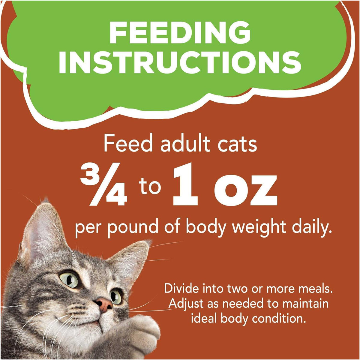 Wet Cat Food E430