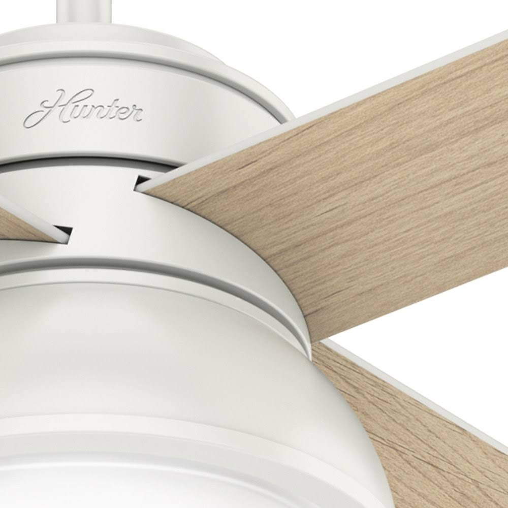 Polished Nickel Ceiling Fan with Light O496787