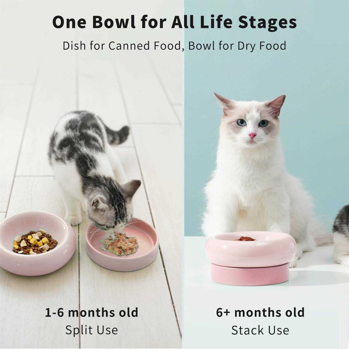 Ceramic Cat Food Bowl X5303