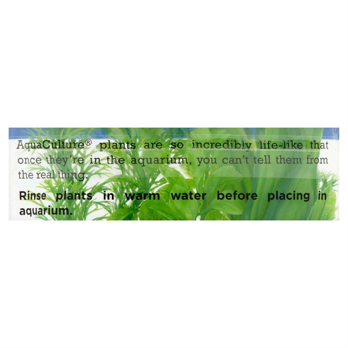 Aquarium Plants 3 Count G69776