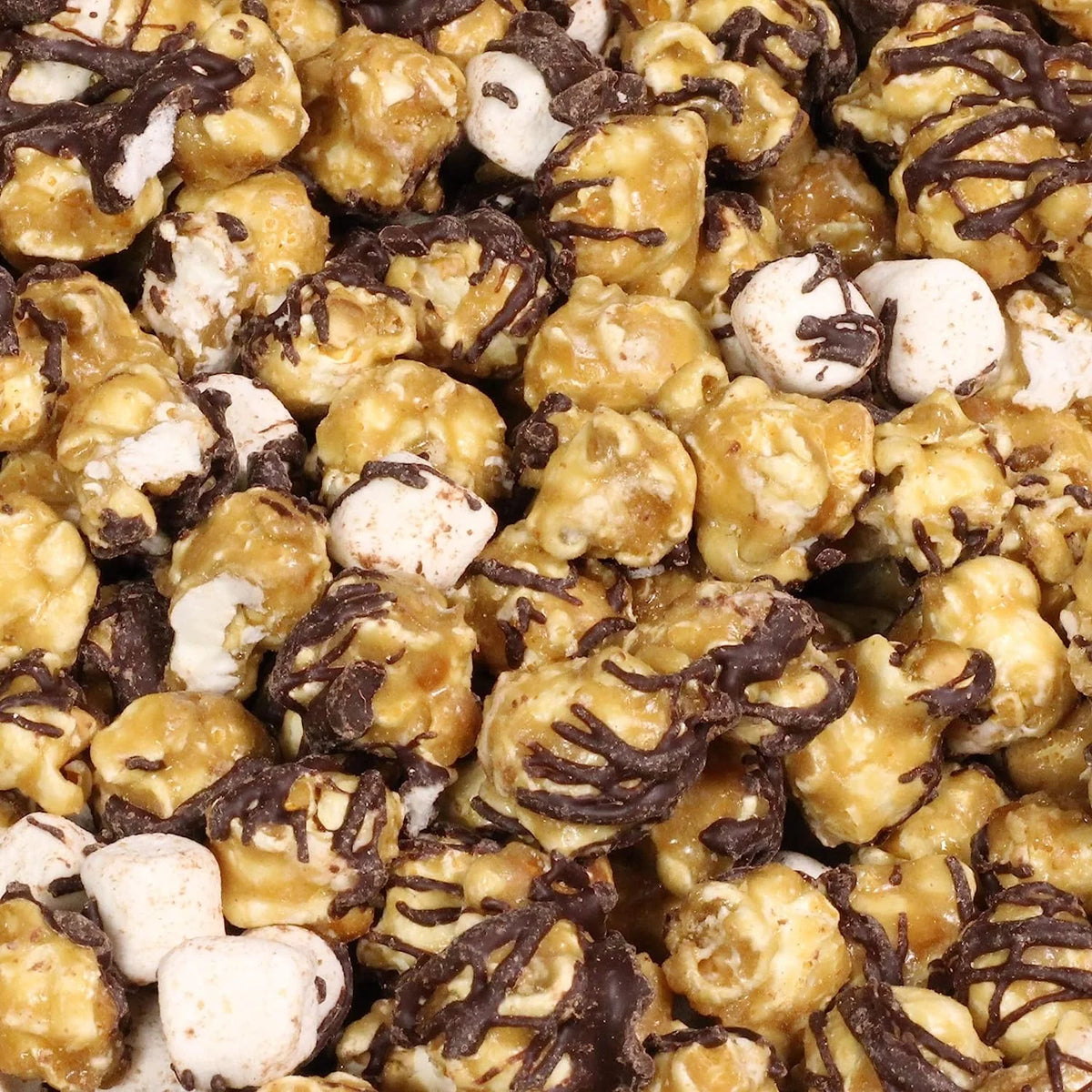 Chocolate S'mores Popcorn 8 Oz Bag L213