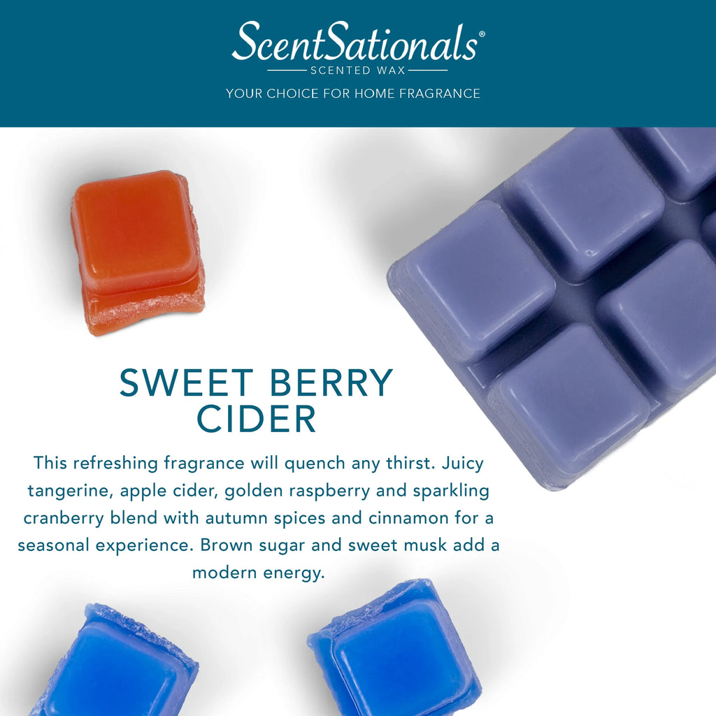 2.5 oz Scented Wax Melts R56221