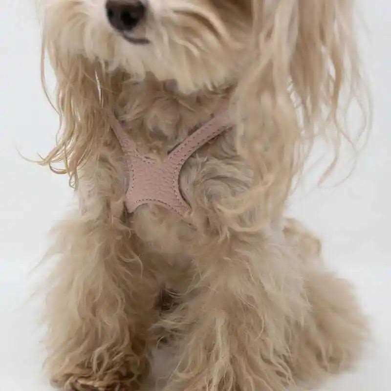 Pebble Grain Harness D10205