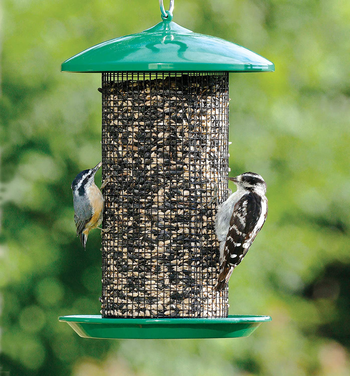 Wild Bird 4.4 lb. Metal/Plastic Screen Bird Feeder G4583