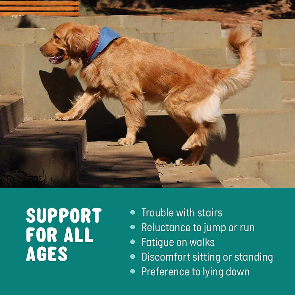 Glucosamine for Dogs Hip and Joint Supplement with Chondroitin, Turmeric, and Msm E4021