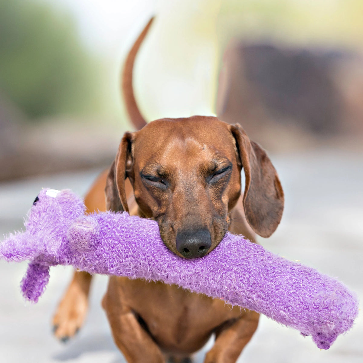 18" Plush Dog Toy H129961