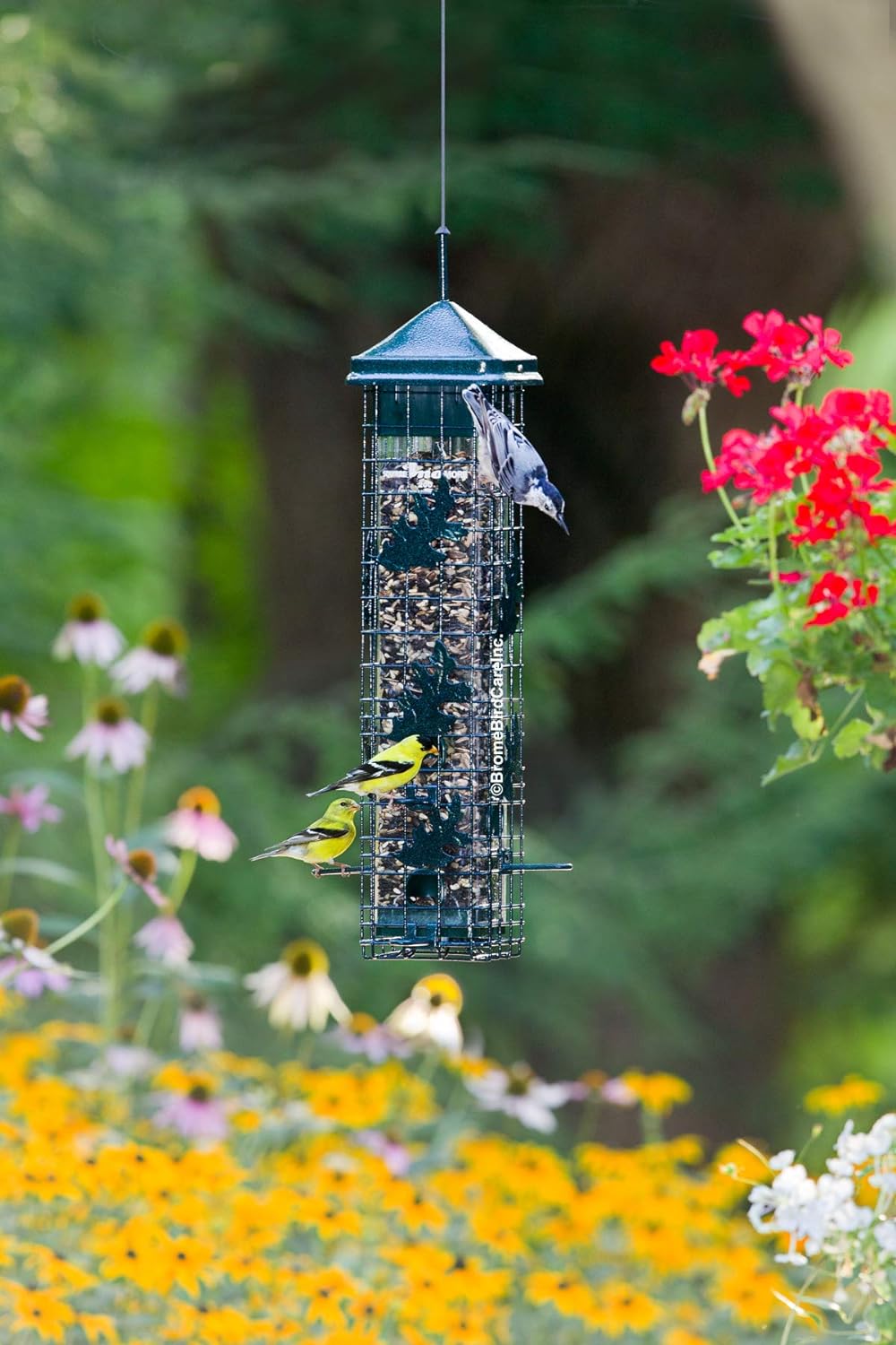 Squirrel-proof Bird Feeder with 6 Feeding Ports, 3.4-pound Seed Capacity W692