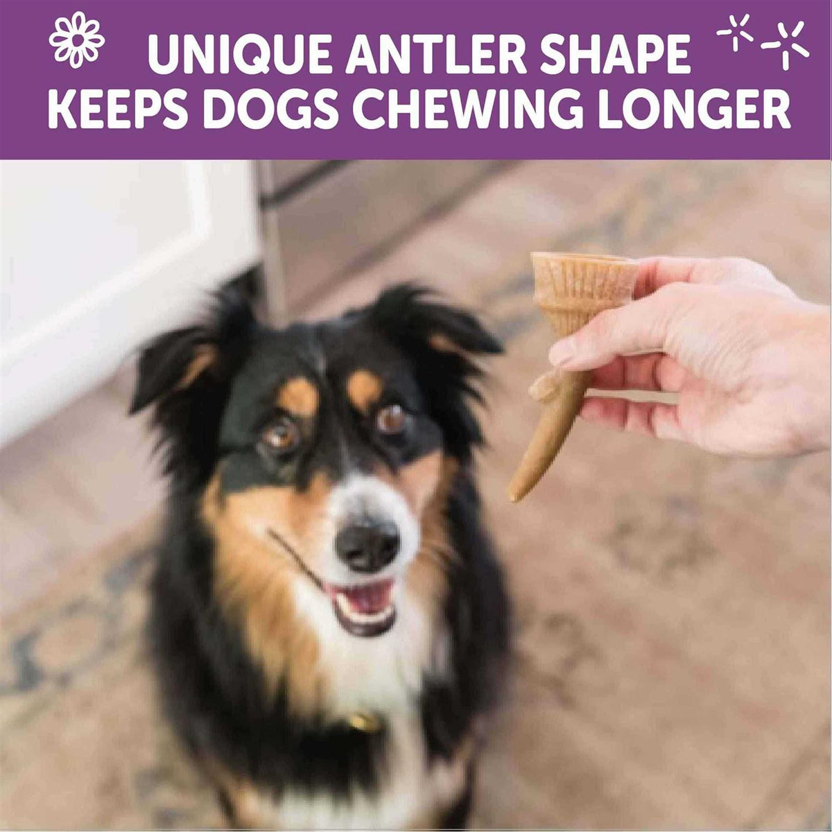 Dog Chews Value Bag I410495