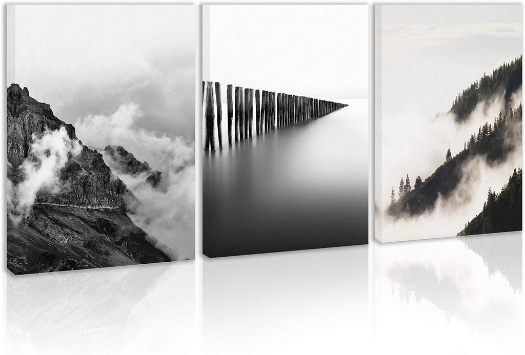 Black and White Canvas Wall Art D89021