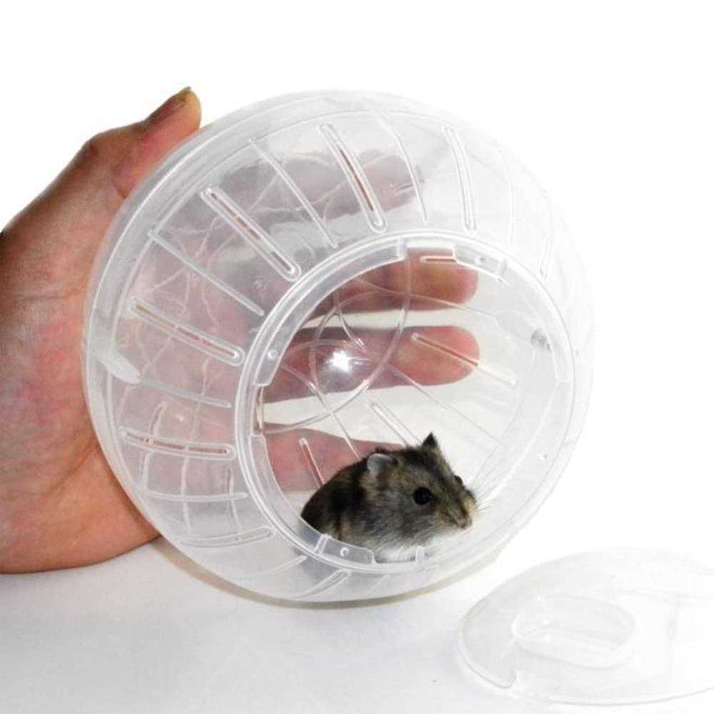 Transparent Hamster Exercise Ball T48698