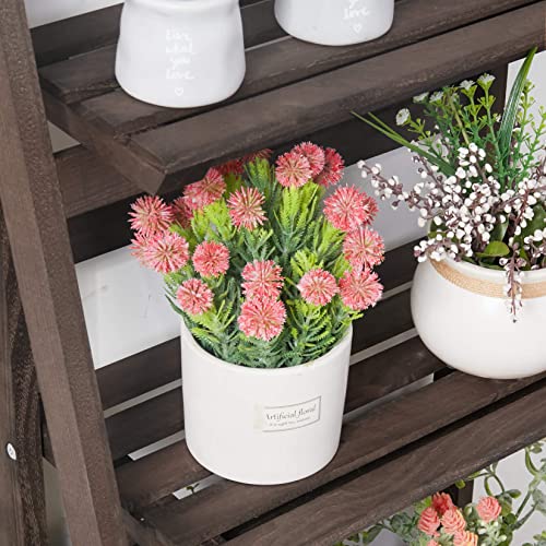 4 Tier Wooden Plant Stand Z31669