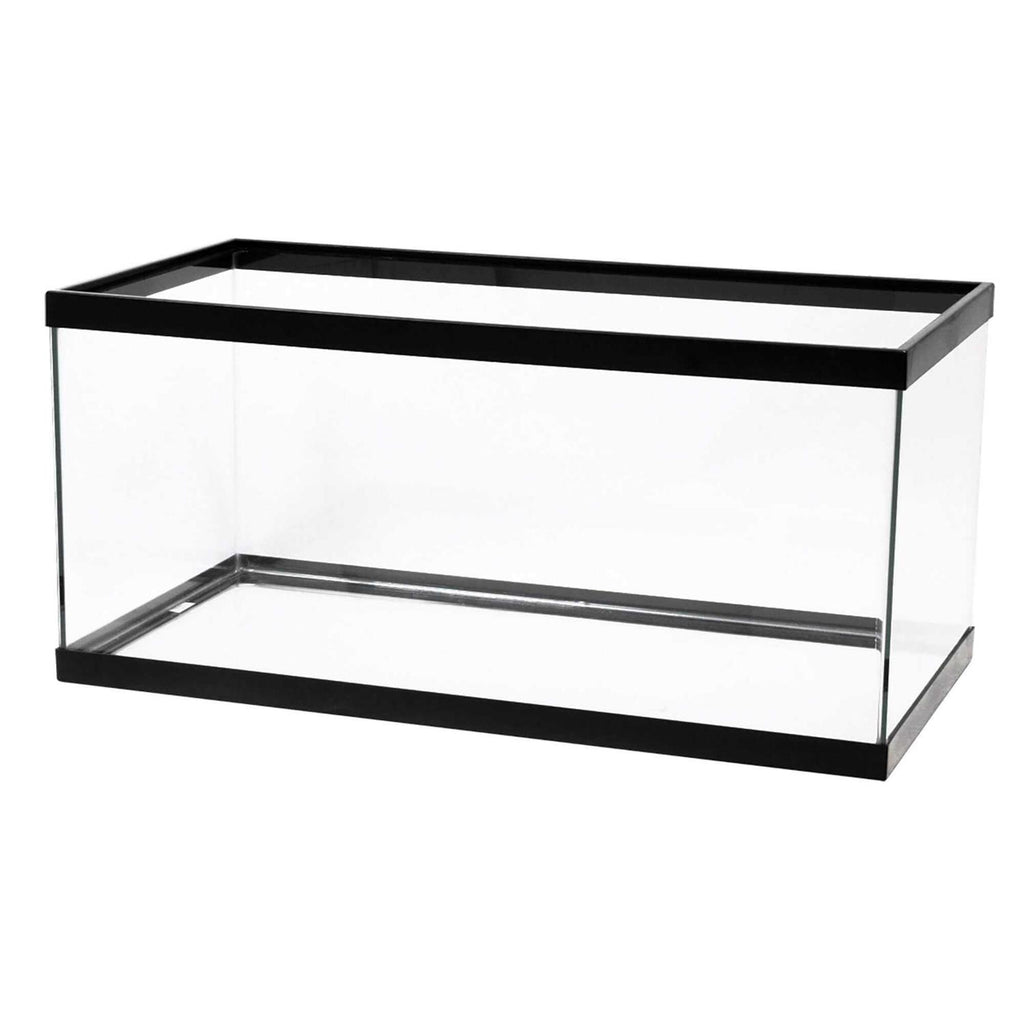 Black Aquarium T18968