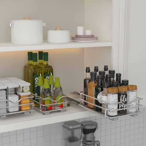 2 Tier Pull Out Spice Rack Organizer R63589