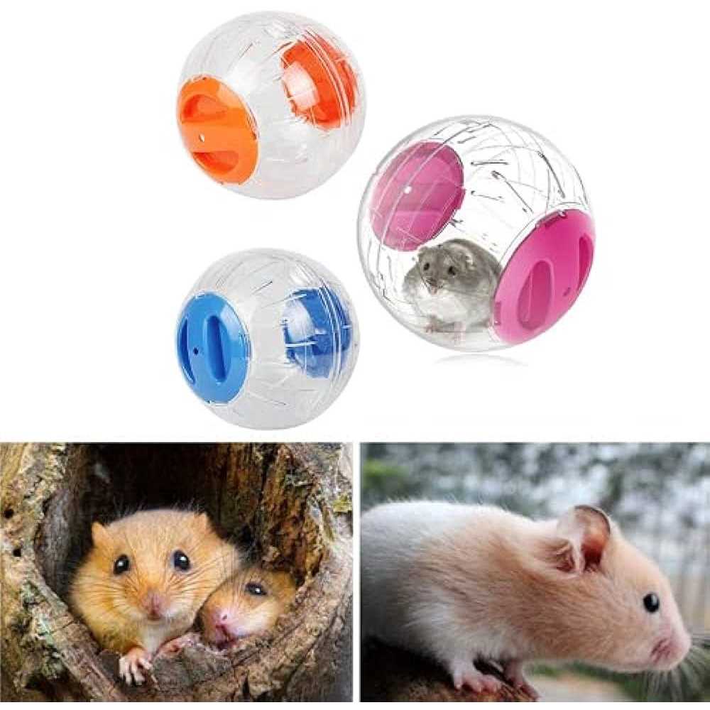Transparent Hamster Exercise Ball T48698