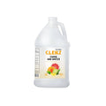 1 Gallon Alcohol Free Foam Hand Sanitizer T5618