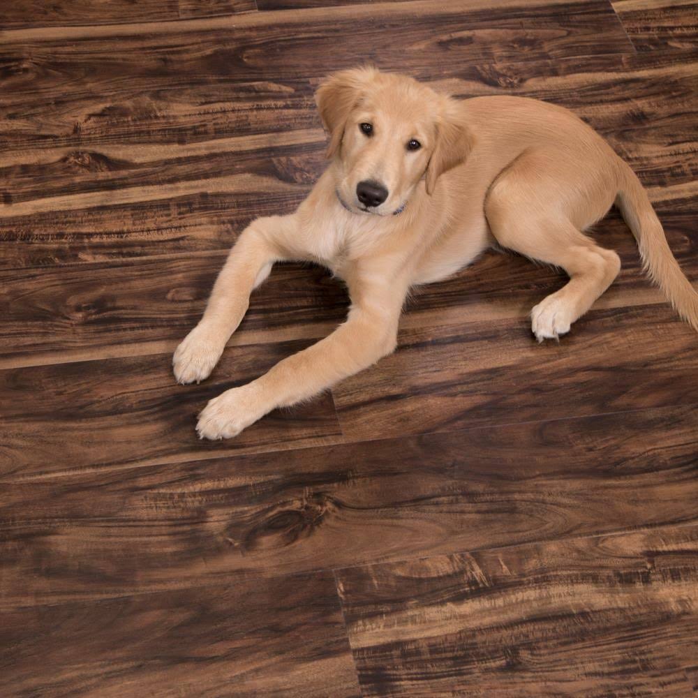 Walnut Creek Waterproof Luxury Vinyl Plank Flooring (23.77 Sq. ft) C6075