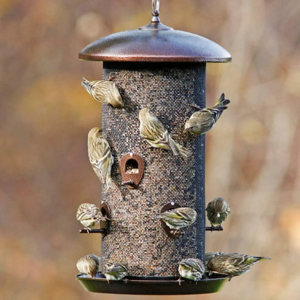 Black Finish Bird Feeder with 2 Seed Compartments D677