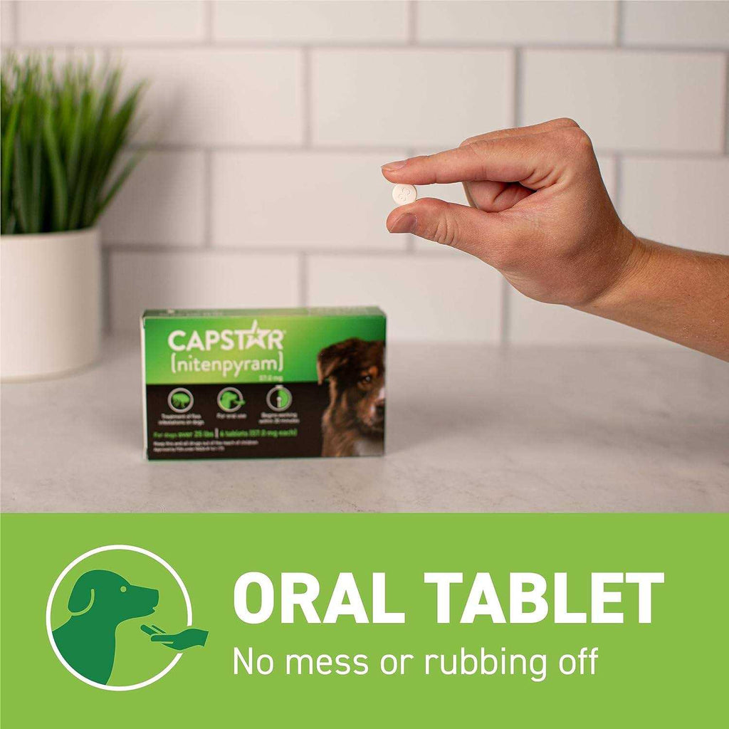Flea Tablets for Dogs F512161