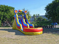 Commercial Grade Inflatable Water Slide with Pool Q8599