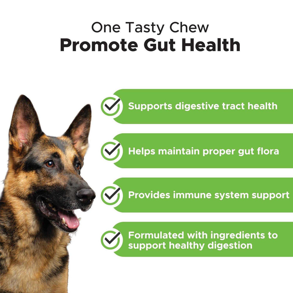 Probiotics Soft Chews X6169