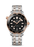 Black 42mm Diver Watch I511671