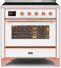 36 Induction Range with Electric Oven M99963