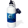 Straw Water Bottle, 21-ounce N262
