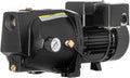 3/4 HP Cast Iron Shallow Well Jet Pump Y7798