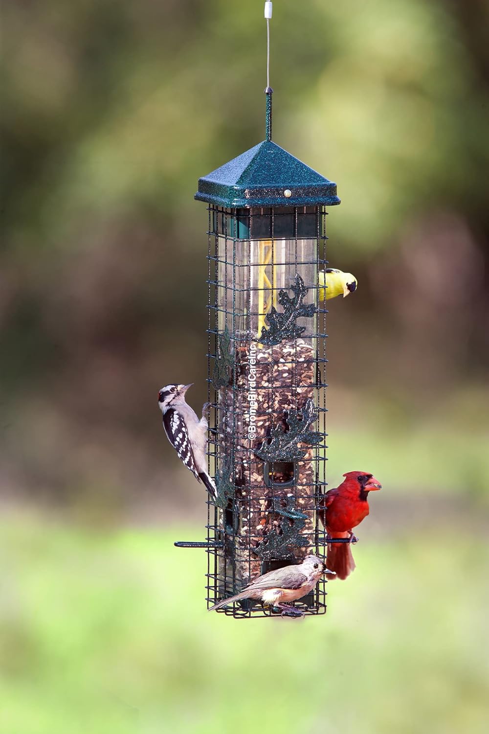 Squirrel-proof Bird Feeder with 6 Feeding Ports, 3.4-pound Seed Capacity W692