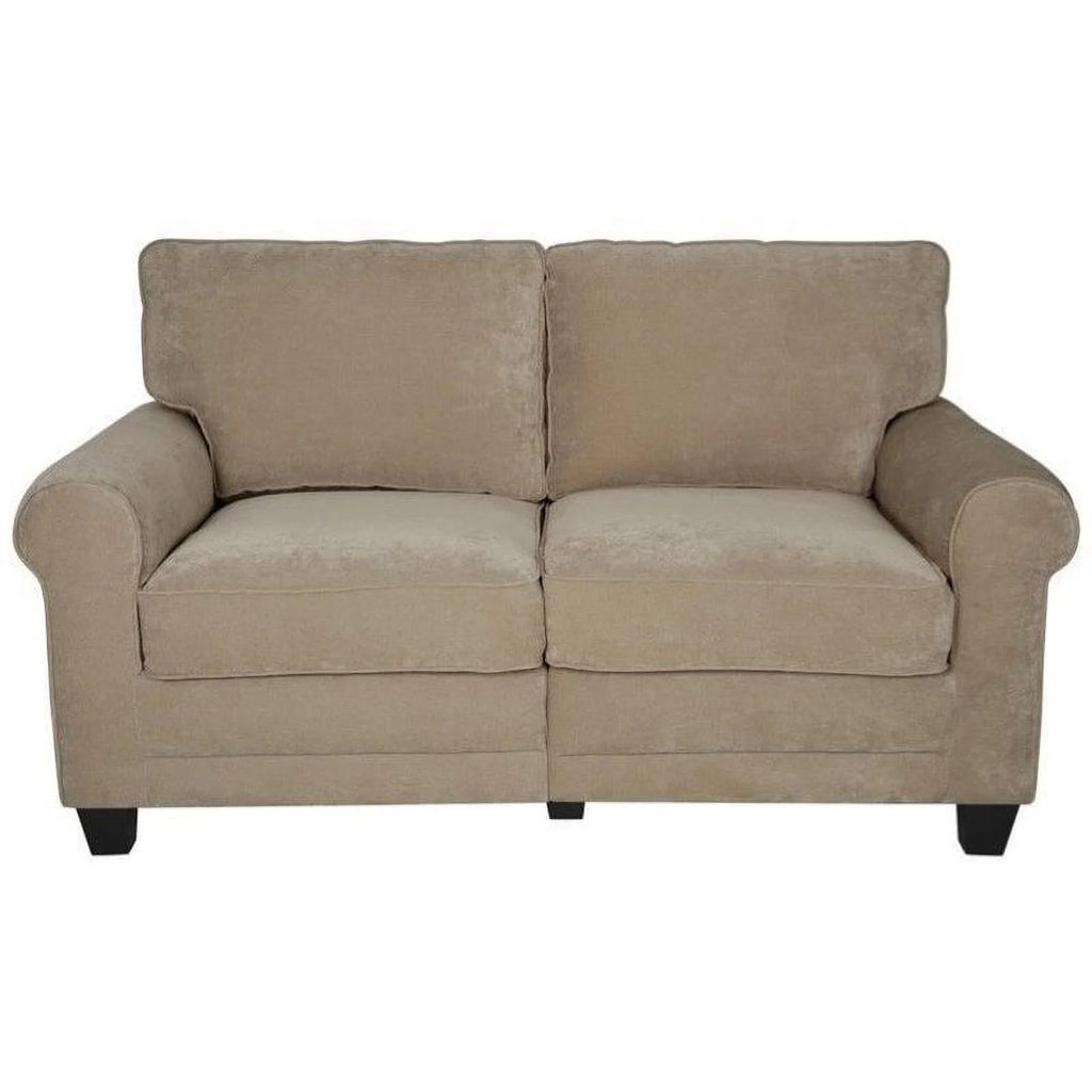 Velvet Loveseat with 2 Pillows A823028