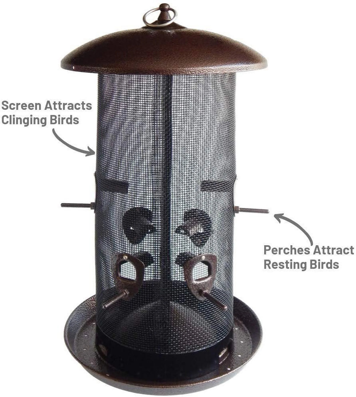 Black Finish Bird Feeder with 2 Seed Compartments D677