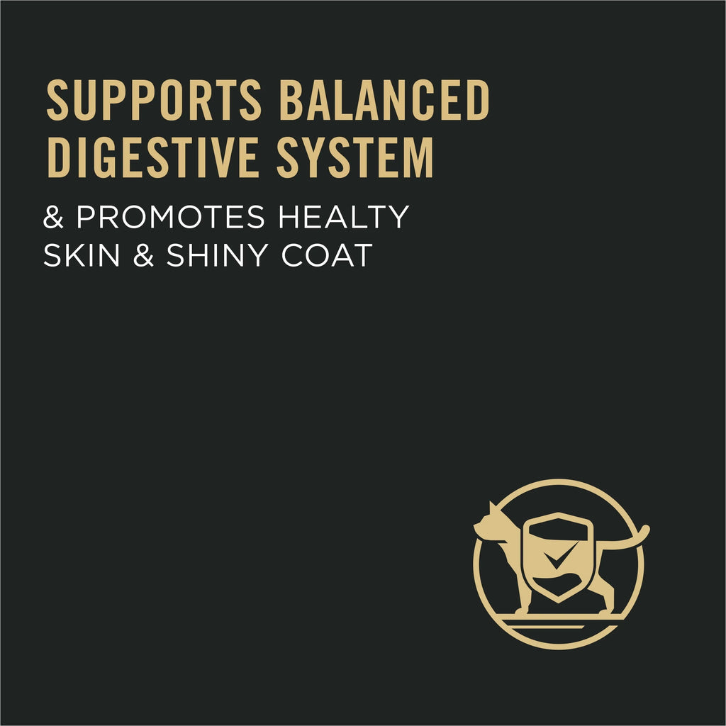 Sensitive Skin & Stomach Dry Cat Food P7449
