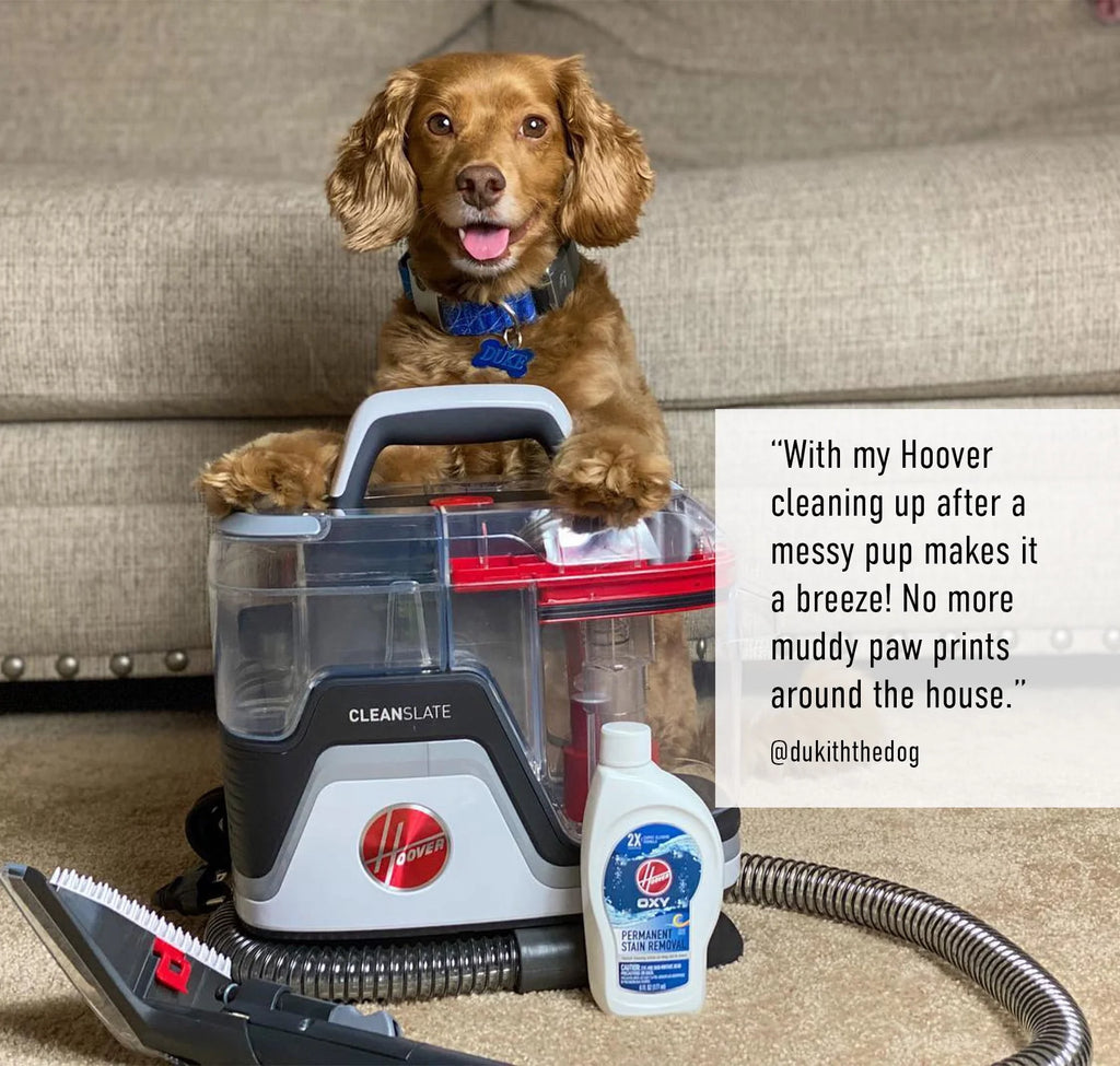 Portable Carpet and Upholstery Spot Cleaner Y79187