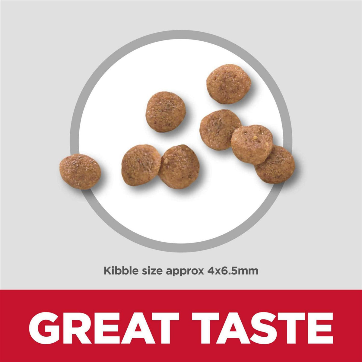 Dry Dog Food I25581