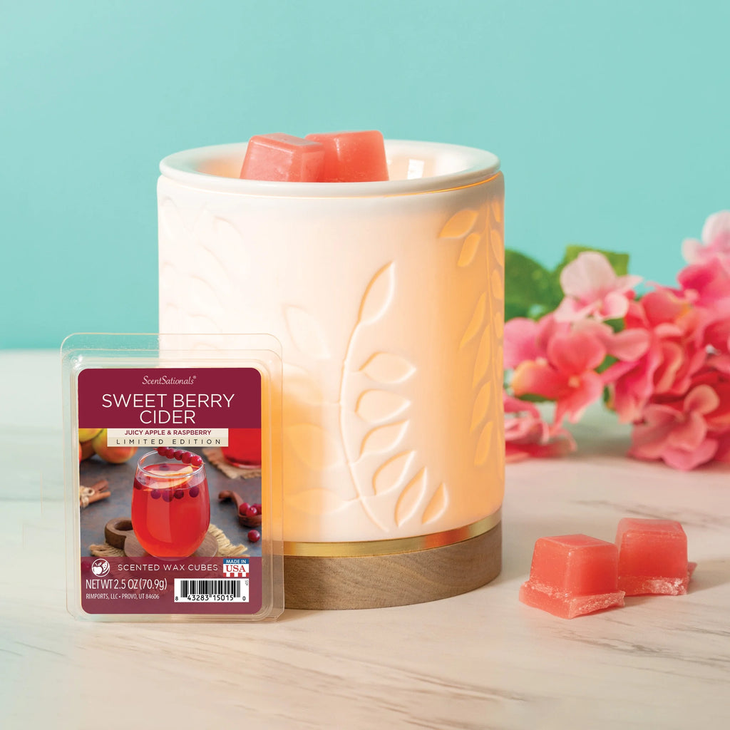 2.5 oz Scented Wax Melts R56221