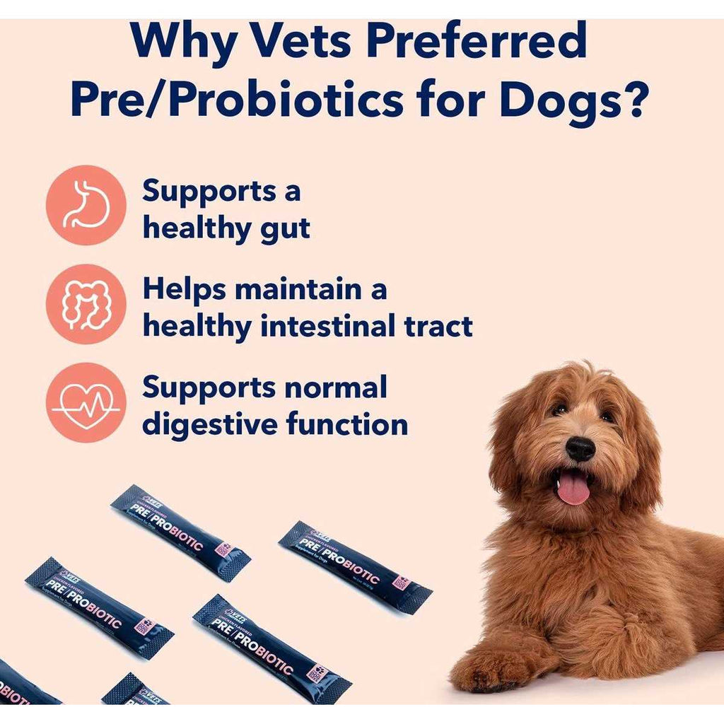 Chicken Flavored Pre-Probiotic Powder Supplement for Dogs 30 Sticks P3820