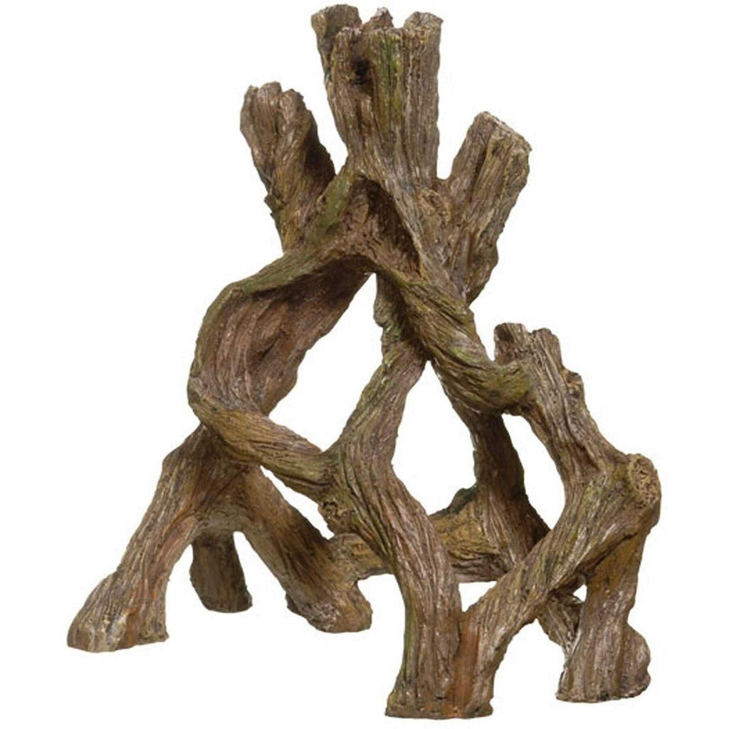 Mangrove Root J165137