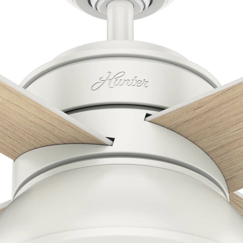 Polished Nickel Ceiling Fan with Light O496787