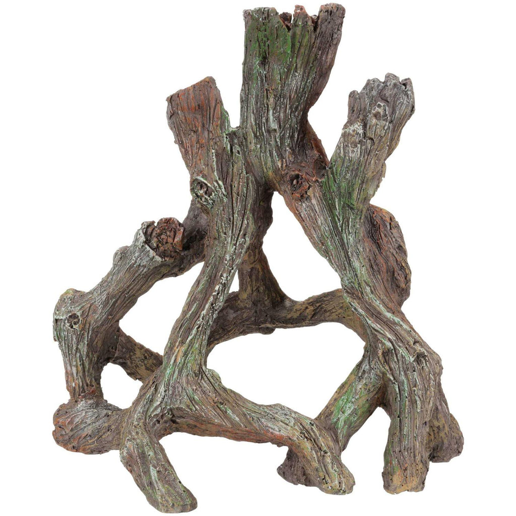 Mangrove Root J165137