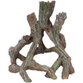 Mangrove Root J165137
