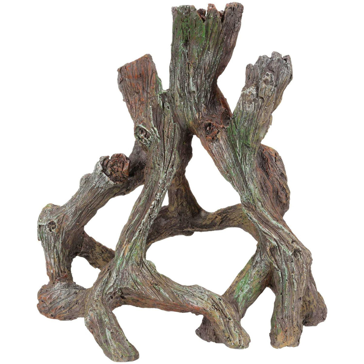 Mangrove Root J165137