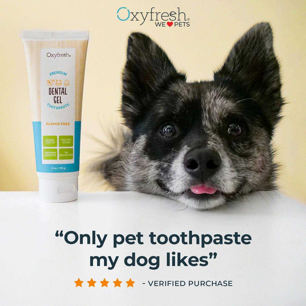 Pet Dental Gel Toothpaste E8200